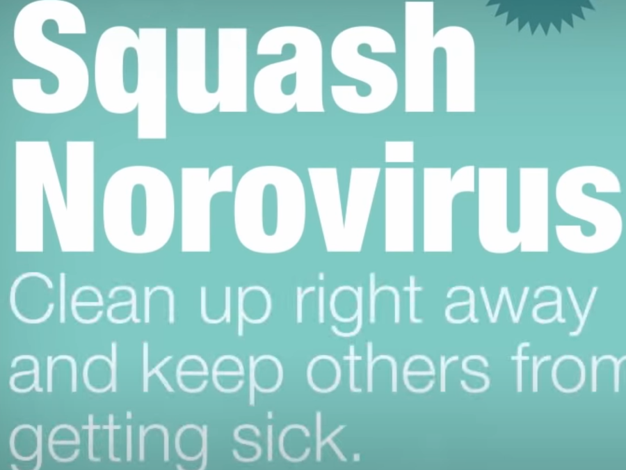 Squash Norovirus
