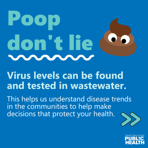 Poop don't lie: Virus levels can be found and tested in wastewater.